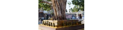 நாகர்கோவில்